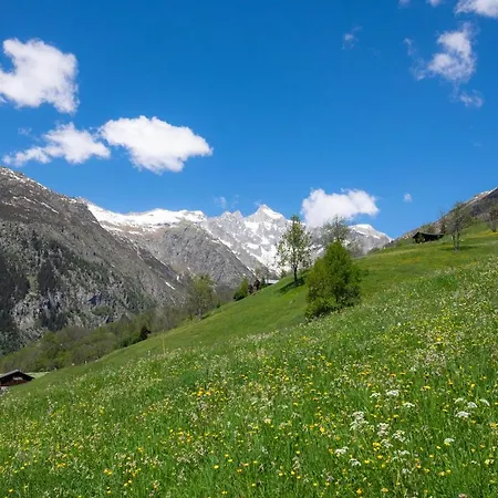 Apartment Orion Bellwald