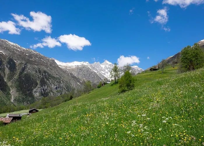 Appartamento Orion Bellwald